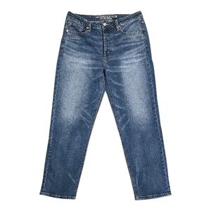 American Eagle Outfitters Cropped Skinny Stretch Vintage Hi Rise Denim Jeans